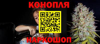 тгк Будённовск