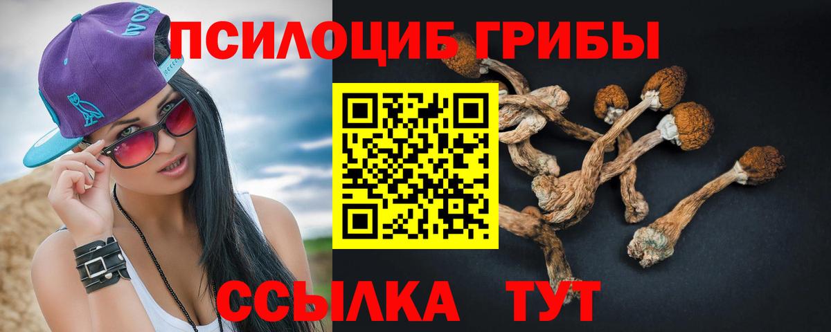 Псилоцибиновые грибы мицелий Нарткала